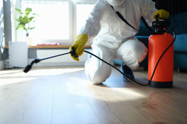 Reliable Odor Removal contractor in Visalia, CA by Trauma Clean Pros